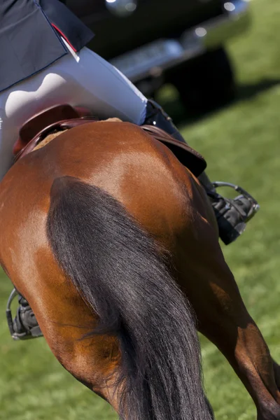 Rider on a high jump competition — Stock Photo, Image