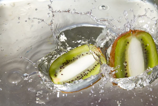 Kiwi de l'eau — Photo