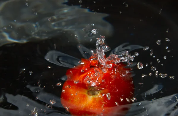 Водяной помидор — стоковое фото