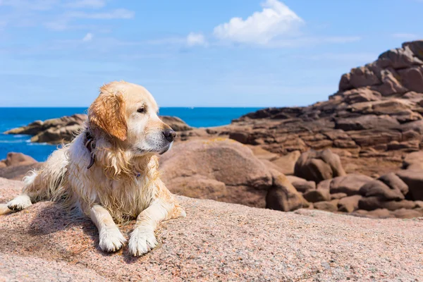 France, Granite Coast — Stock Photo, Image