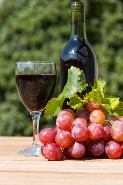 Uvas de vinho — Fotografia de Stock