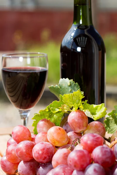 Wine grapes — Stock Photo, Image