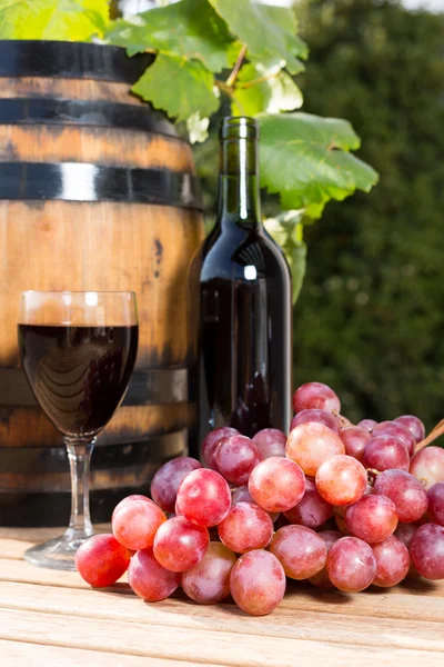 Wine grapes — Stock Photo, Image