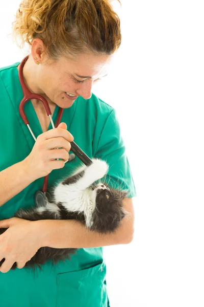 Veterinární s kotě — Stock fotografie