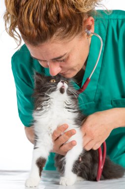 Veteriner ile yavru kedi