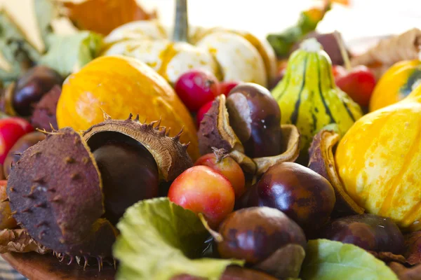 Früchte des Herbstes — Stockfoto