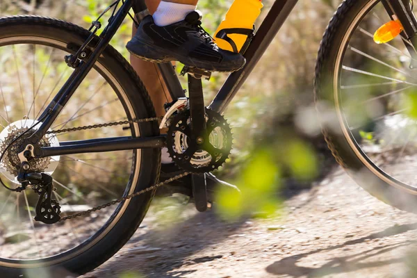 Mountain biking — Stock Photo, Image