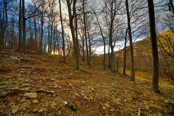 Santa Fe del Montseny — Stockfoto