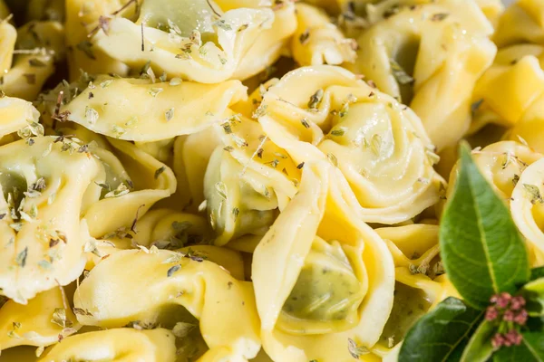 Tortellini fyllda med spenat — Stockfoto