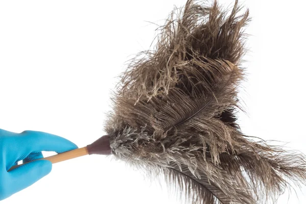 Cleaning with a feather duster — Stock Photo, Image