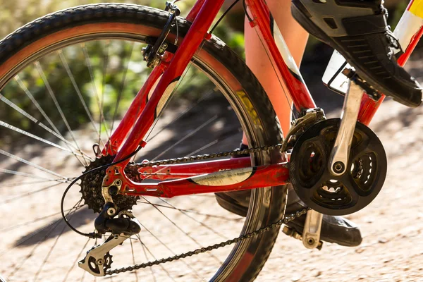 Mountain biking — Stock Photo, Image