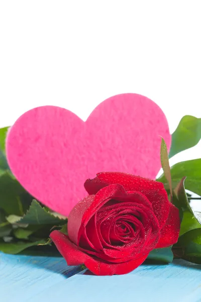 Frische Rose mit Herz — Stockfoto