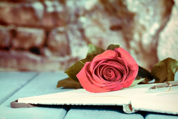 Livro com uma rosa — Fotografia de Stock