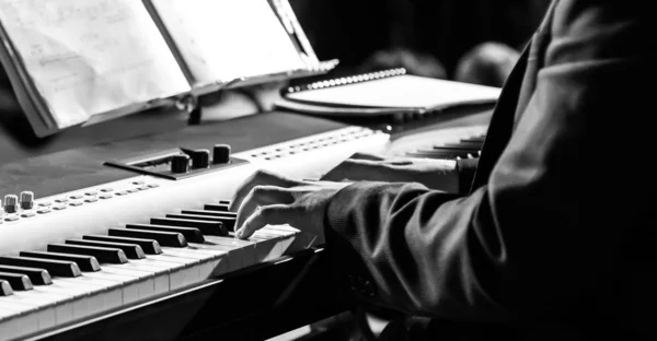 Musician at a concert — Stock Photo, Image