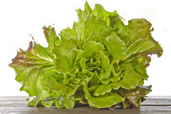 Lechuga fresca — Foto de Stock