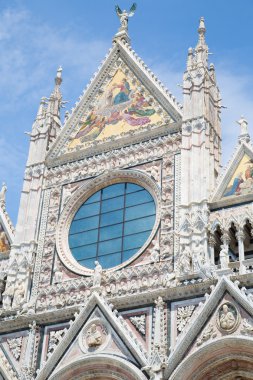 binaları ve sokakları Siena