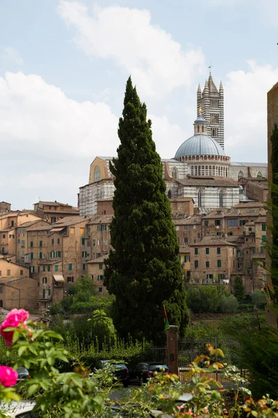 Edifícios e ruas de Siena — Fotografia de Stock