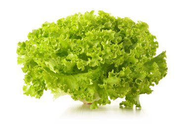 yeşil beyaz zemin üzerine izole marul yaprakları