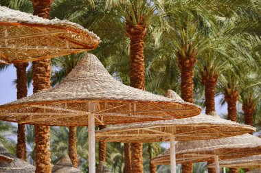 sıcak yaz gündüz plaj görmek