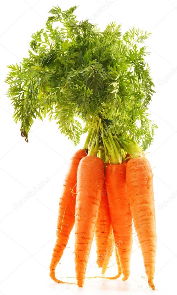 Fresh carrots bunch isolated on white background