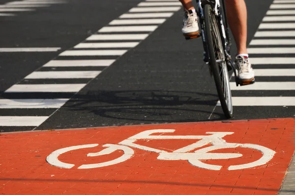 Segnaletica stradale bicicletta e ciclista — Foto Stock