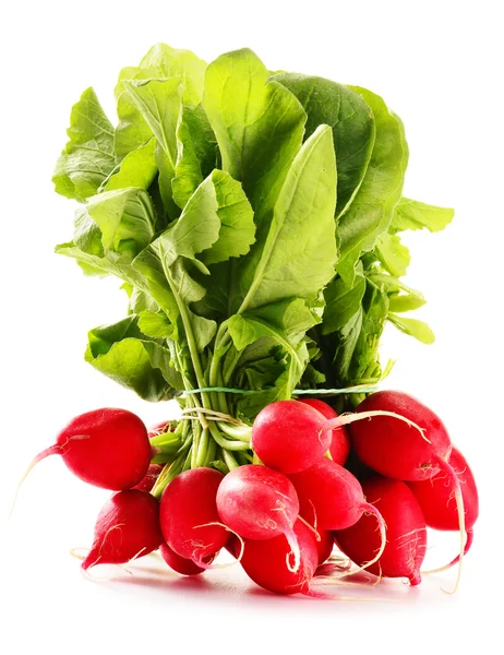 Bunch of radish isolated on white background — Stock Photo, Image