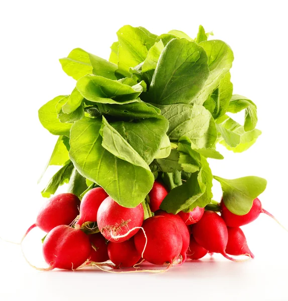 Bunch of radish isolated on white background — Stock Photo, Image