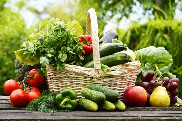 Fresh organic vegetables in wicker basket in the garden — Stock Photo, Image