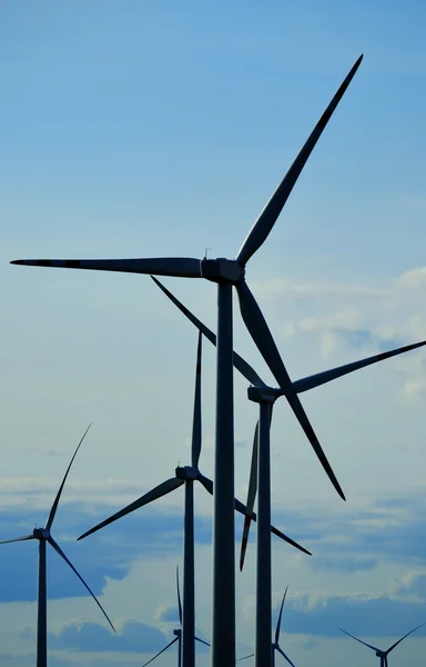 Wind turbines farm. Windmill — Stock Photo, Image