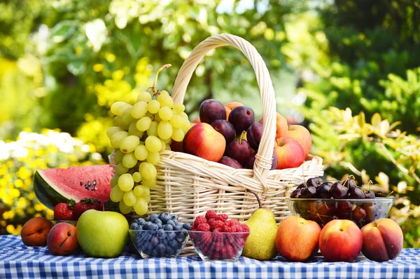 Cesta de frutas orgânicas frescas no jardim — Fotografia de Stock