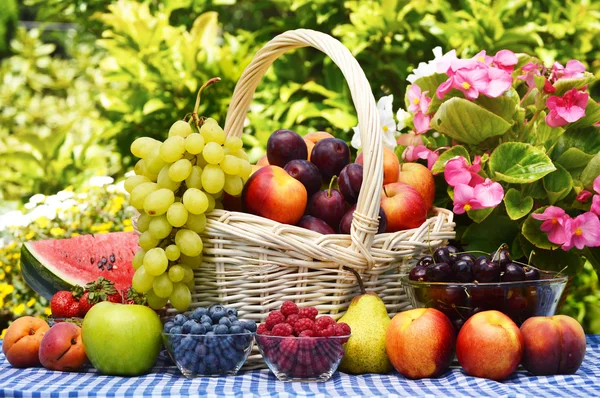 Cesta de frutas orgánicas frescas en el jardín — Foto de Stock