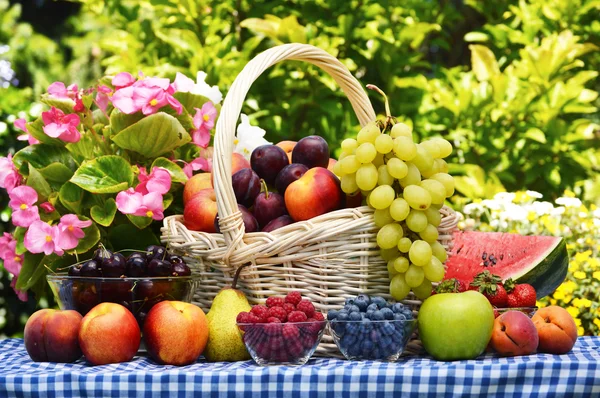 Cesta de frutas orgânicas frescas no jardim — Fotografia de Stock