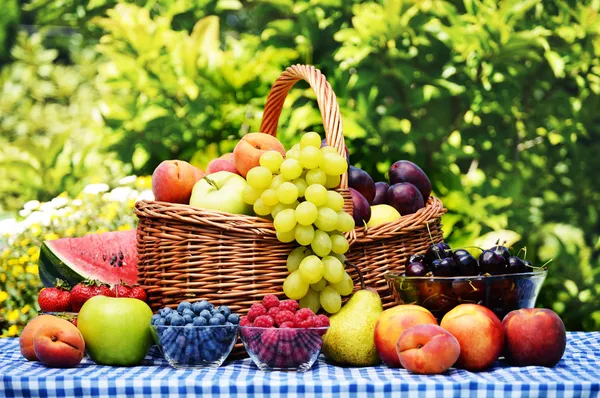 Cesta de frutas orgânicas frescas no jardim — Fotografia de Stock