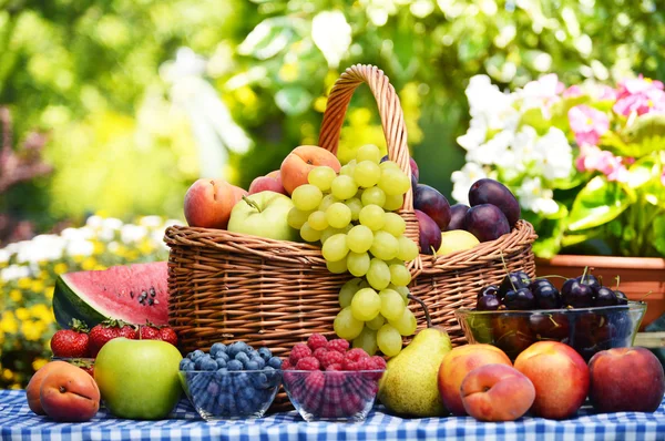 Cesta de frutas orgânicas frescas no jardim — Fotografia de Stock