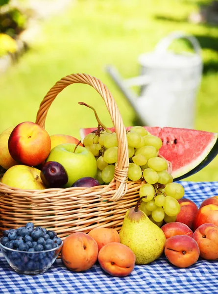 Košík čerstvé bio ovoce v zahradě — Stock fotografie