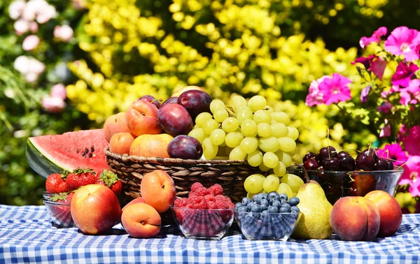 Cesta de frutas orgânicas frescas no jardim — Fotografia de Stock