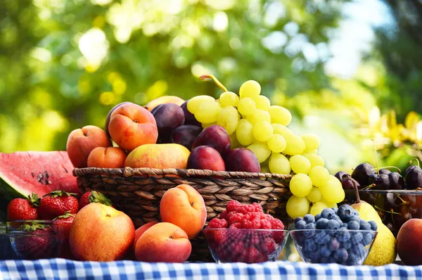 Cesta de frutas orgânicas frescas no jardim — Fotografia de Stock