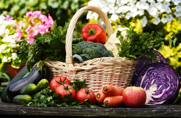 Légumes bio frais dans le jardin — Photo