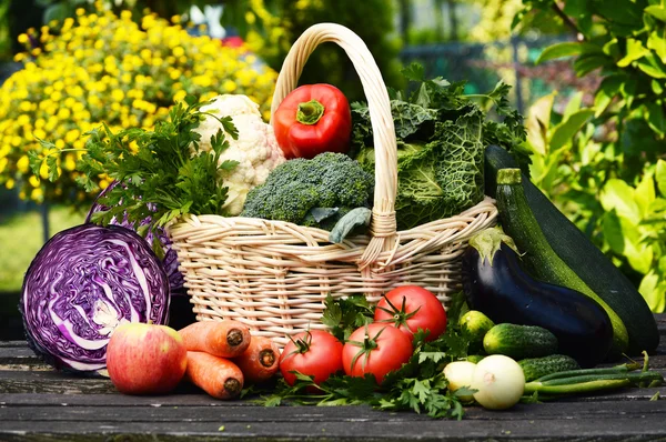 Verse biologische groenten in de tuin — Stockfoto