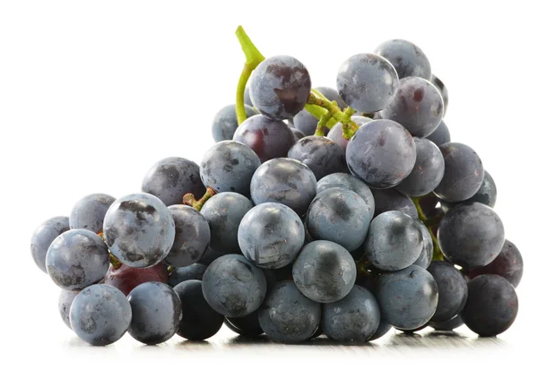 串上白色隔离的新鲜红葡萄 — 图库照片