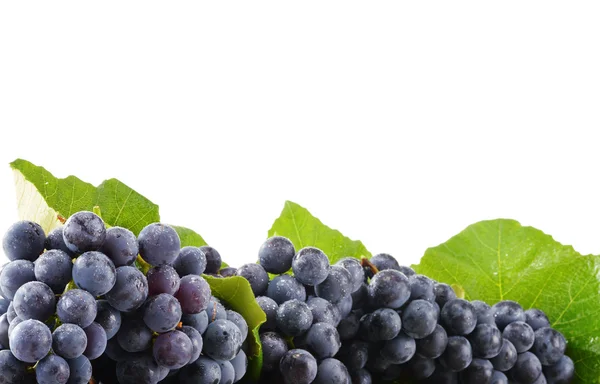 Cacho de uvas vermelhas frescas isoladas em branco — Fotografia de Stock