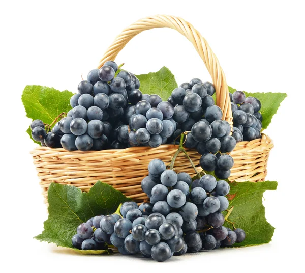 Cesto di vimini pieno di uva rossa fresca isolato su bianco — Foto Stock