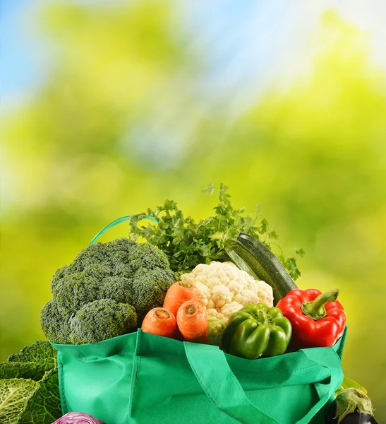 Green bag with variety of fresh organic vegetables in the garden — Stock Photo, Image