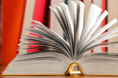 Masanın üzerinde kitaplar olan kompozisyon