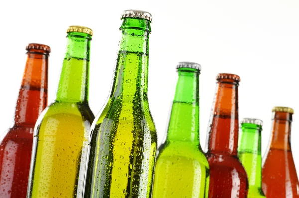 Bottles of beer isolated on white background — Stock Photo, Image
