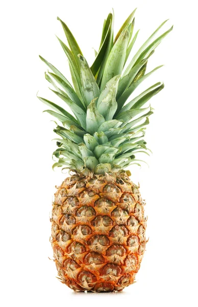 Ananas geïsoleerd op witte achtergrond — Stockfoto