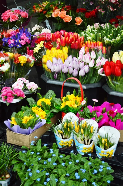 Street stall with variety of flowers Stock Photo