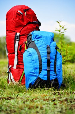 Çayırda iki turistik sırt çantası.