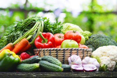 taze organik sebze bahçesinde hasır sepet