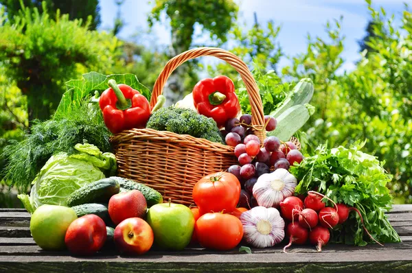 Fresh organic vegetables in wicker basket in the garden — Stock Photo, Image